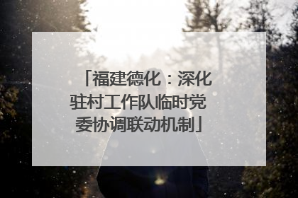 福建德化：深化驻村工作队临时党委协调联动机制