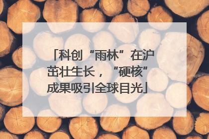 科创“雨林”在沪茁壮生长，“硬核”成果吸引全球目光