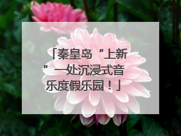 秦皇岛“上新”一处沉浸式音乐度假乐园！
