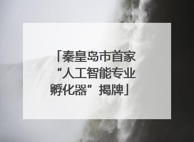秦皇岛市首家“人工智能专业孵化器”揭牌