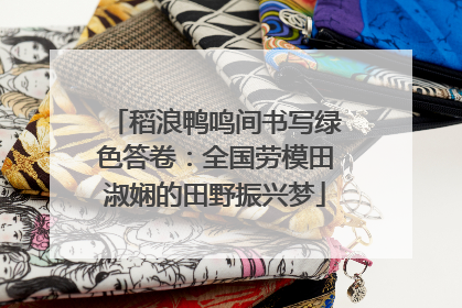 稻浪鸭鸣间书写绿色答卷：全国劳模田淑娴的田野振兴梦