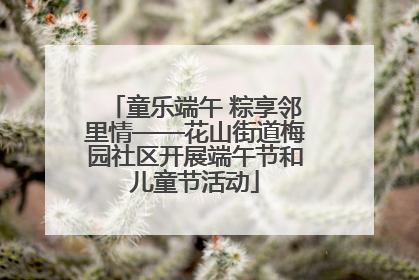 童乐端午 粽享邻里情——花山街道梅园社区开展端午节和儿童节活动