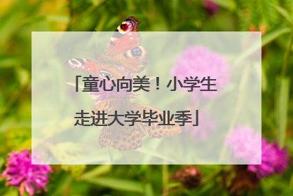 童心向美！小学生走进大学毕业季