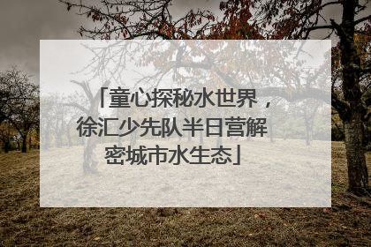童心探秘水世界，徐汇少先队半日营解密城市水生态