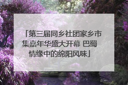 第三届同乡社团家乡市集嘉年华盛大开幕 巴蜀情缘中的绵阳风味