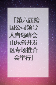第六届跨国公司领导人青岛峰会山东省开发区专场推介会举行