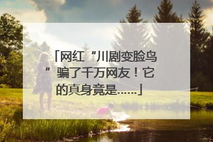 网红“川剧变脸鸟”骗了千万网友！它的真身竟是……