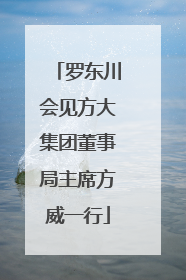 罗东川会见方大集团董事局主席方威一行