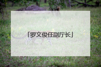 罗文俊任副厅长