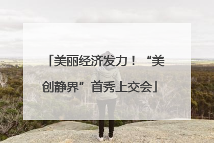 美丽经济发力！“美创静界”首秀上交会