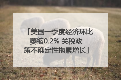 美国一季度经济环比萎缩0.2% 关税政策不确定性拖累增长