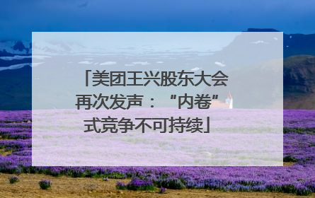 美团王兴股东大会再次发声：“内卷”式竞争不可持续