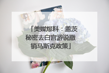 美媒爆料：盖茨秘密去白宫游说撤销马斯克政策