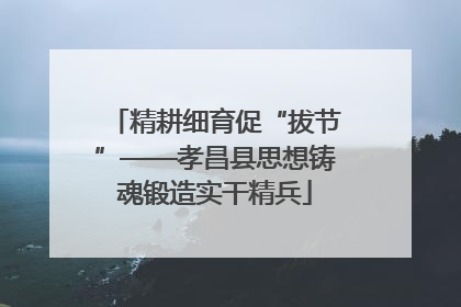 精耕细育促“拔节”——孝昌县思想铸魂锻造实干精兵