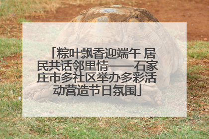 粽叶飘香迎端午 居民共话邻里情——石家庄市多社区举办多彩活动营造节日氛围