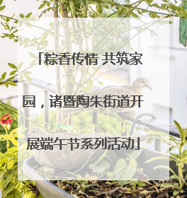 粽香传情 共筑家园，诸暨陶朱街道开展端午节系列活动