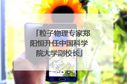 粒子物理专家郑阳恒升任中国科学院大学副校长