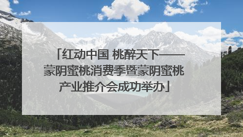 红动中国 桃醉天下——蒙阴蜜桃消费季暨蒙阴蜜桃产业推介会成功举办