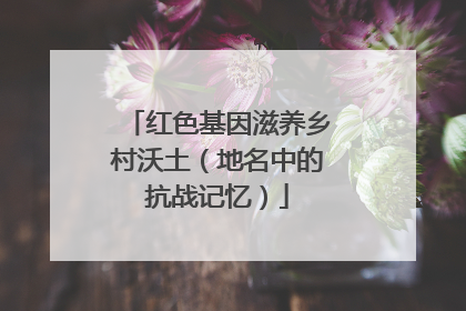 红色基因滋养乡村沃土（地名中的抗战记忆）
