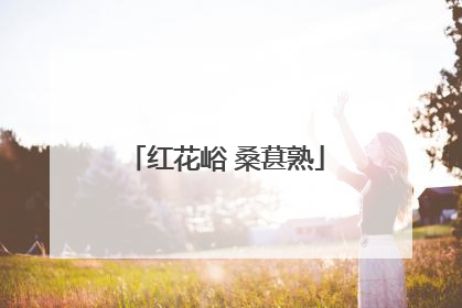 红花峪 桑葚熟