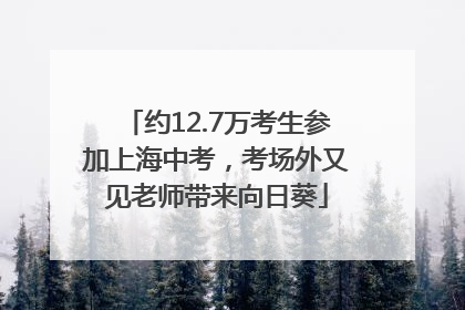 约12.7万考生参加上海中考，考场外又见老师带来向日葵