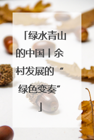 绿水青山的中国丨余村发展的“绿色变奏”