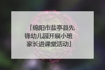 绵阳市盐亭县先锋幼儿园开展小班家长进课堂活动