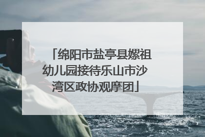 绵阳市盐亭县嫘祖幼儿园接待乐山市沙湾区政协观摩团