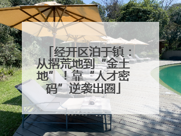 经开区泊于镇：从撂荒地到“金土地”！靠“人才密码”逆袭出圈