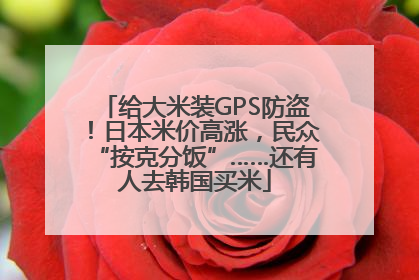 给大米装GPS防盗！日本米价高涨，民众“按克分饭”……还有人去韩国买米