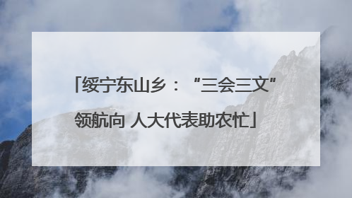 绥宁东山乡：“三会三文”领航向 人大代表助农忙