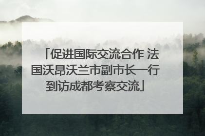 促进国际交流合作 法国沃昂沃兰市副市长一行到访成都考察交流