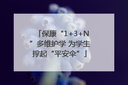 保康“1+3+N”多维护学 为学生撑起“平安伞”