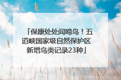 保康处处闻啼鸟！五道峡国家级自然保护区新增鸟类记录23种