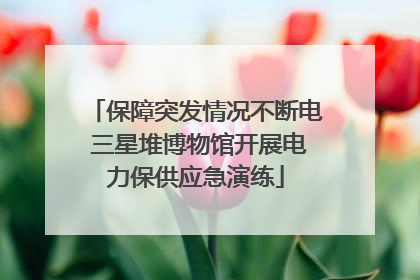 保障突发情况不断电 三星堆博物馆开展电力保供应急演练
