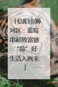 信阳市浉河区：蓝莓串起致富链 “莓”好生活入画来