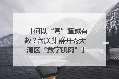 何以“粤”算越有数？韶关集群开秀大湾区“数字肌肉”