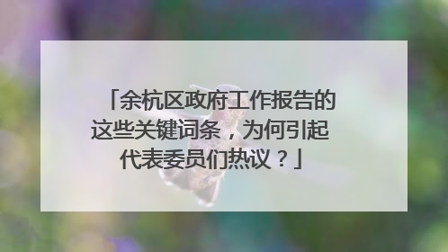 余杭区政府工作报告的这些关键词条，为何引起代表委员们热议？