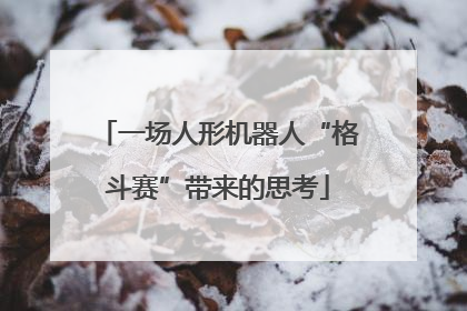 一场人形机器人“格斗赛”带来的思考