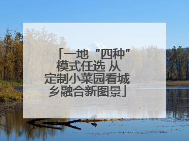 一地“四种” 模式任选 从定制小菜园看城乡融合新图景