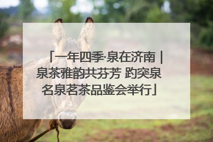 一年四季·泉在济南｜泉茶雅韵共芬芳 趵突泉名泉茗茶品鉴会举行