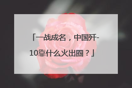 一战成名，中国歼-10靠什么火出圈？