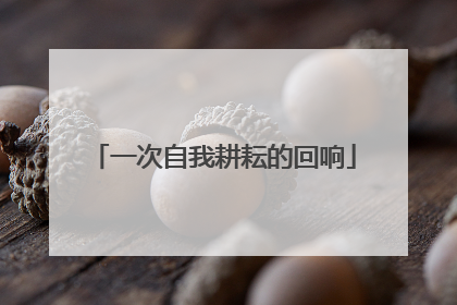 一次自我耕耘的回响