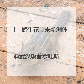 一路生花，来新洲体验武汉版普罗旺斯