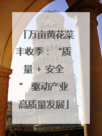 万亩黄花菜丰收季：“质量 + 安全” 驱动产业高质量发展