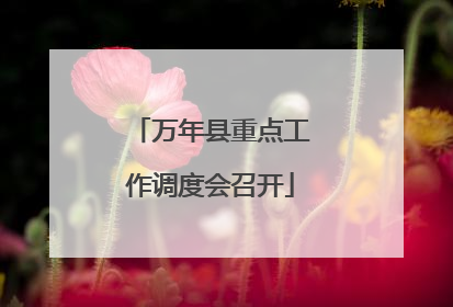 万年县重点工作调度会召开