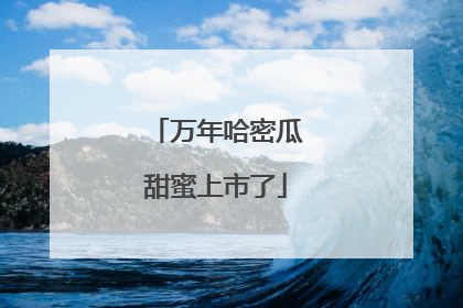 万年哈密瓜甜蜜上市了