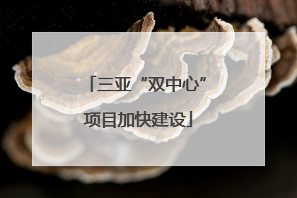 三亚“双中心”项目加快建设