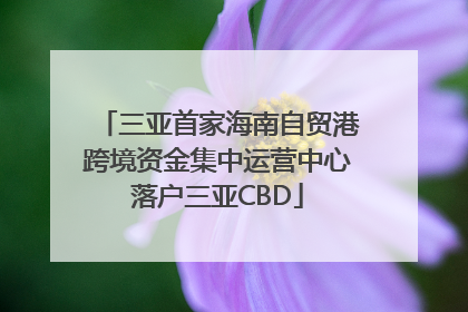 三亚首家海南自贸港跨境资金集中运营中心落户三亚CBD