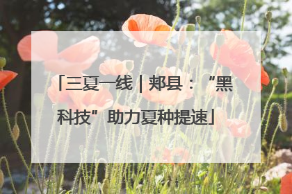 三夏一线｜郏县：“黑科技”助力夏种提速